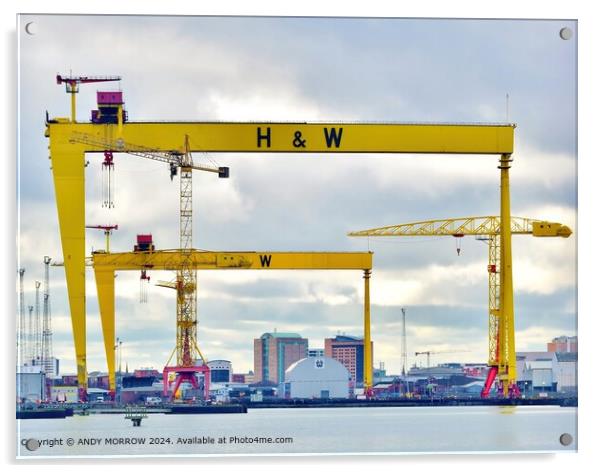 Harland and Wolff Cranes, Belfast Skyline Acrylic by ANDY MORROW