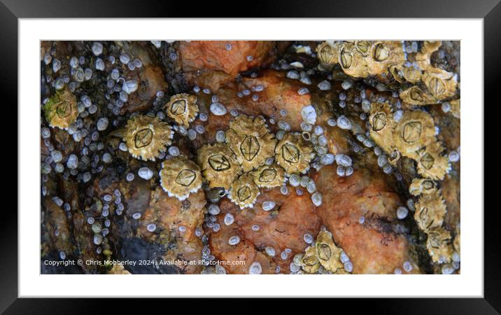 Lewis Sand and Sea Macro Framed Mounted Print by Chris Mobberley