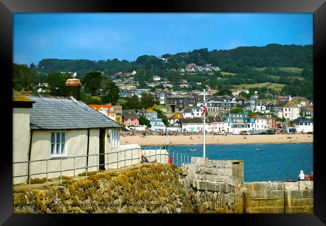 Lyme Regis From The Aquarium Framed Print by Alison Chambers