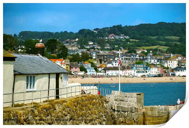 Lyme Regis From The Aquarium Print by Alison Chambers