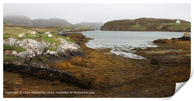 Outer Hebrides Landscape Sheep Grazing Print by Chris Mobberley