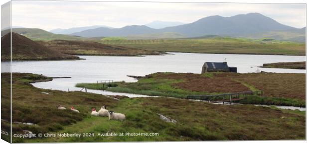 Serene Landscape, Sheep, Loch Canvas Print by Chris Mobberley