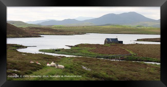 Serene Landscape, Sheep, Loch Framed Print by Chris Mobberley