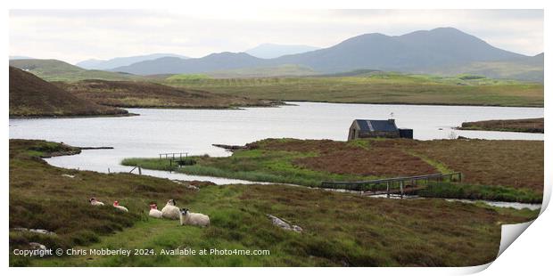 Serene Landscape, Sheep, Loch Print by Chris Mobberley