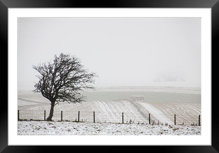 A Cold And Foggy Morning Framed Mounted Print by Lynne Morris (Lswpp)