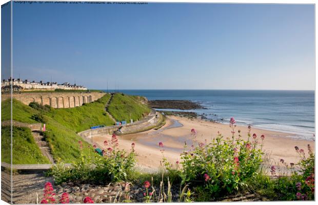 King Edwards Bay Tynemouth  Canvas Print by Jim Jones