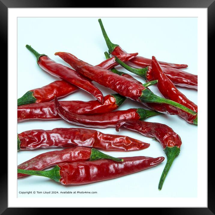 Red Chilli Mexican Spice Framed Mounted Print by Tom Lloyd