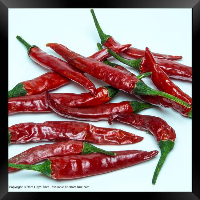 Red Chilli Mexican Spice Framed Print by Tom Lloyd