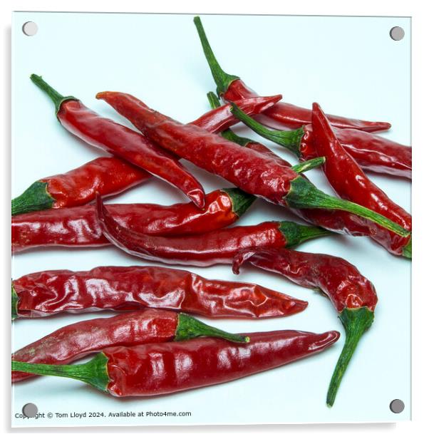 Red Chilli Mexican Spice Acrylic by Tom Lloyd
