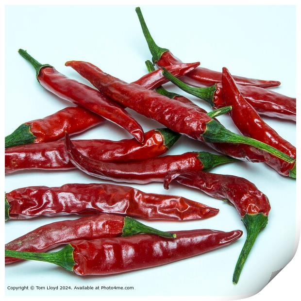 Red Chilli Mexican Spice Print by Tom Lloyd