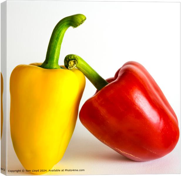 Colourful Peppers Salad Canvas Print by Tom Lloyd