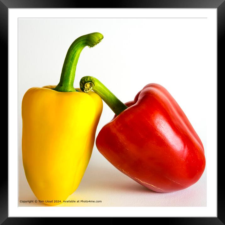 Colourful Peppers Salad Framed Mounted Print by Tom Lloyd