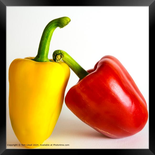 Colourful Peppers Salad Framed Print by Tom Lloyd