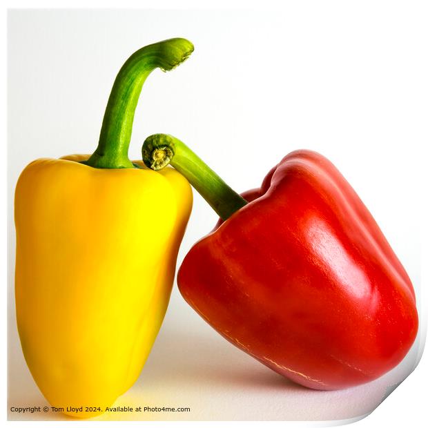Colourful Peppers Salad Print by Tom Lloyd