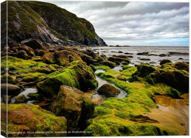 Wild Atlantic Way Glencolumbkille Ireland Landscape Canvas Print by Alicia Alonso