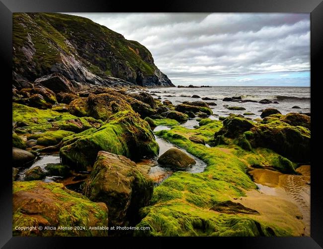 Wild Atlantic Way Glencolumbkille Ireland Landscape Framed Print by Alicia Alonso