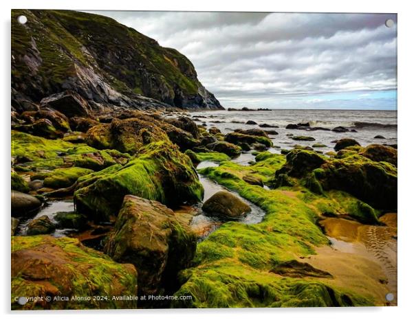 Wild Atlantic Way Glencolumbkille Ireland Landscape Acrylic by Alicia Alonso