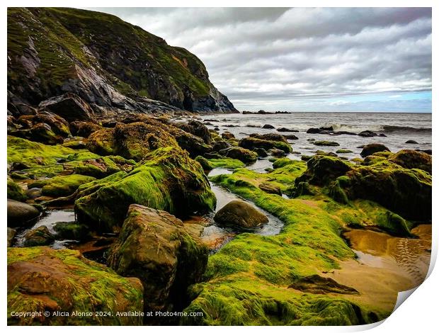 Wild Atlantic Way Glencolumbkille Ireland Landscape Print by Alicia Alonso