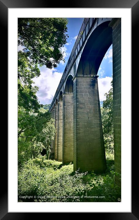 Pontcysyllte Aqueduct Architecture Framed Mounted Print by David Bennett