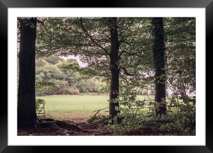 Beyond The Trees Framed Mounted Print by Christine Lake