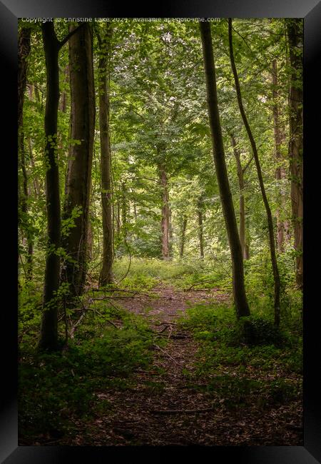 Walk Through Nature Framed Print by Christine Lake