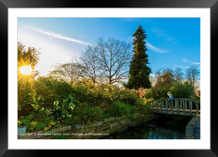 St Nicholas Park, Warwick Landscape Framed Mounted Print by Alice Rose Lenton