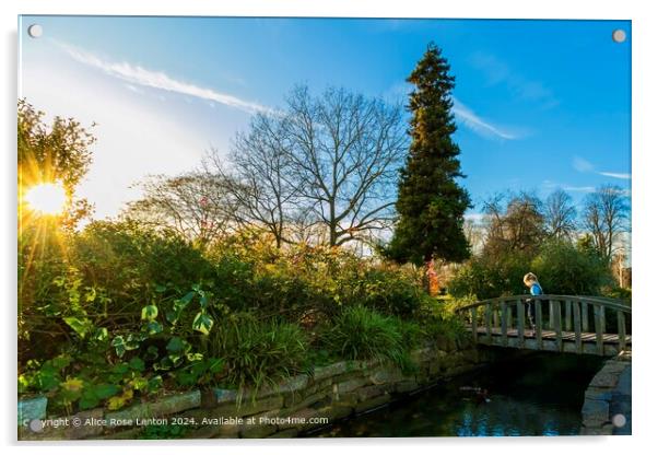 St Nicholas Park, Warwick Landscape Acrylic by Alice Rose Lenton