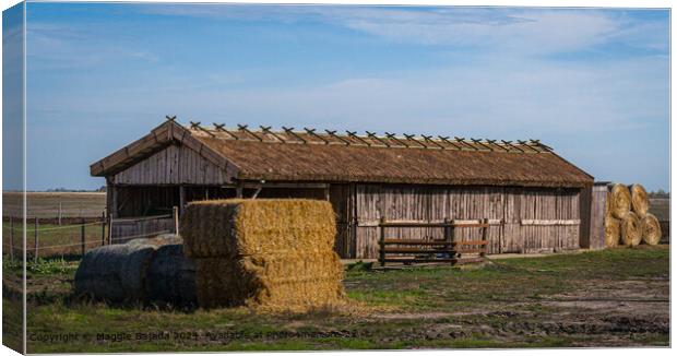 Brown Hay Timber Hut, Hortobagy in Hungary Canvas Print by Maggie Bajada