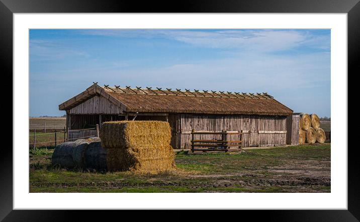 Brown Hay Timber Hut, Hortobagy in Hungary Framed Mounted Print by Maggie Bajada