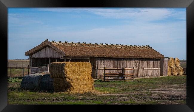Brown Hay Timber Hut, Hortobagy in Hungary Framed Print by Maggie Bajada