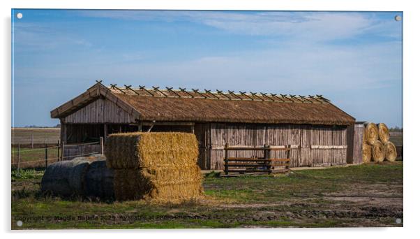 Brown Hay Timber Hut, Hortobagy in Hungary Acrylic by Maggie Bajada