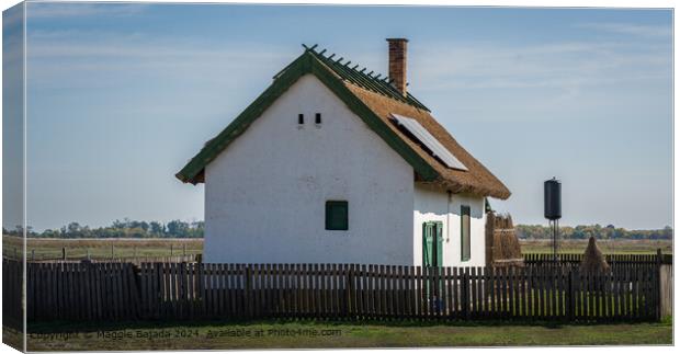 White Lonely Wooden house with picket fence, Hortobagy, Hungary. Canvas Print by Maggie Bajada