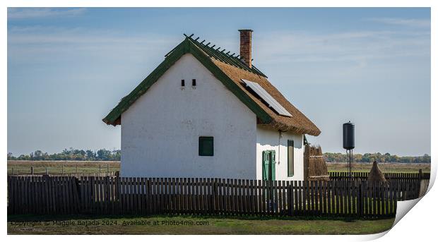 White Lonely Wooden house with picket fence, Hortobagy, Hungary. Print by Maggie Bajada