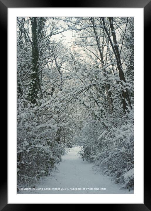 Tranquil Snowy Sunset in Matelica Framed Mounted Print by Elena Sofia Janata