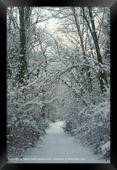 Tranquil Snowy Sunset in Matelica Framed Print by Elena Sofia Janata