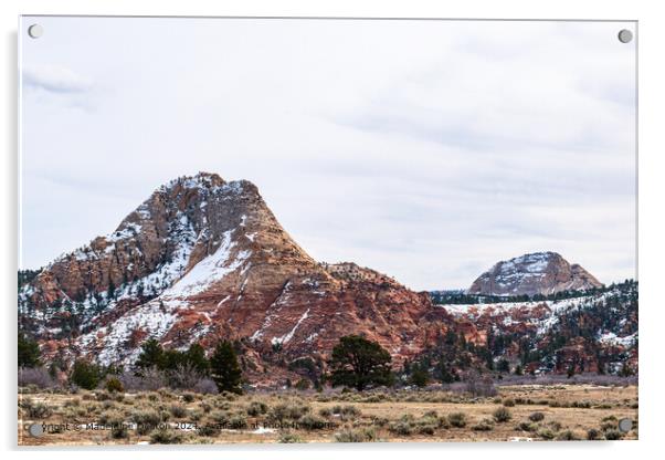 Majestic Snow-Capped Mountains in Kolob Terrace, Zion National Park Acrylic by Madeleine Deaton