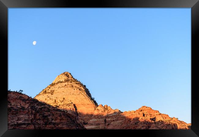 Sunrise Over Zion National Park Cliffs with Moon B Framed Print by Madeleine Deaton