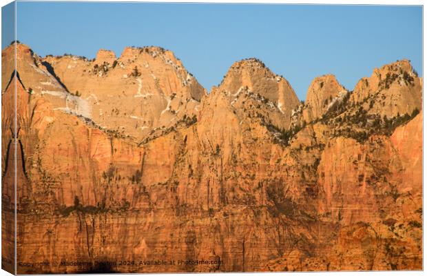 Stunning View of the Canyon Walls at Sunrise, Zion National Park, Utah Canvas Print by Madeleine Deaton