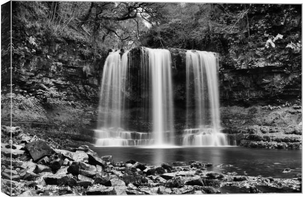 Ystradfellte Waterfall Black and White Canvas Print by David Harris