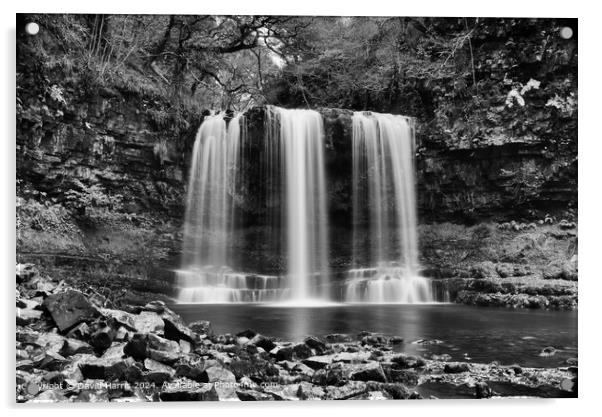 Ystradfellte Waterfall Black and White Acrylic by David Harris