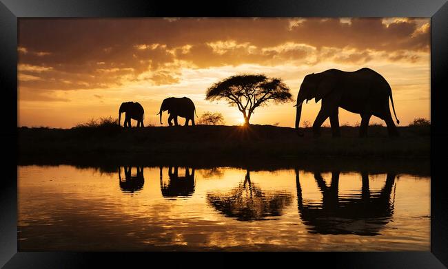 family of elephants at sunset Framed Print by Guido Parmiggiani