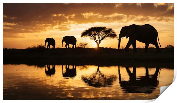 family of elephants at sunset Print by Guido Parmiggiani