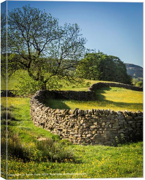 Swaledale Heart Stone Wall Canvas Print by kevin cook