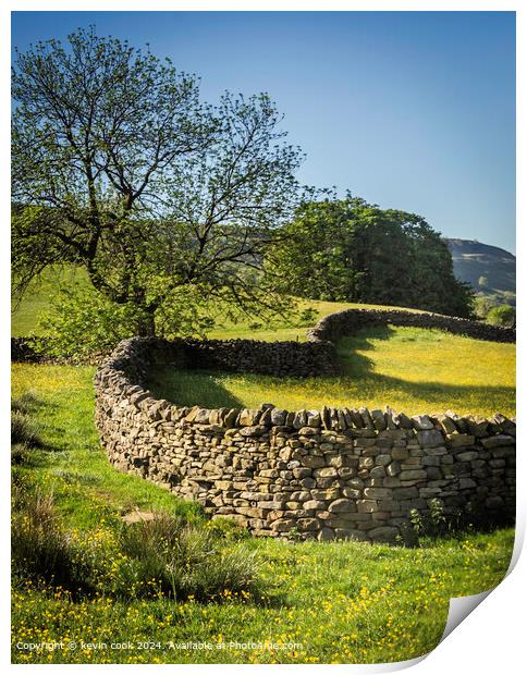 Swaledale Heart Stone Wall Print by kevin cook