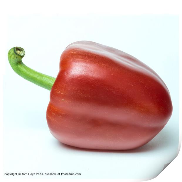 Vibrant Red Pepper Salad Print by Tom Lloyd