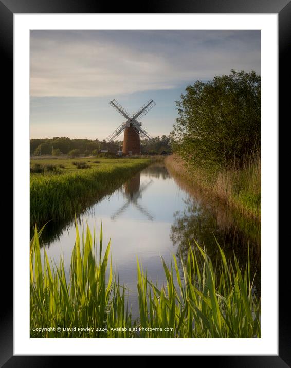 Norfolk Broad Reflections  Framed Mounted Print by David Powley