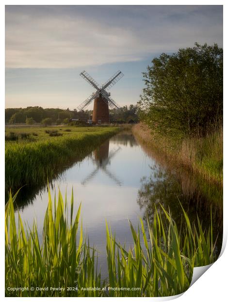 Norfolk Broad Reflections  Print by David Powley