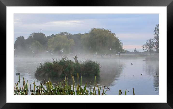 Ethereal Misty Morning at Royal Bushy Park Framed Mounted Print by Kenn Sharp