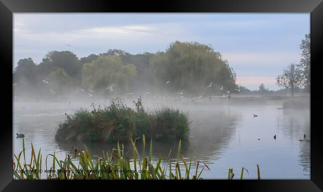 Ethereal Misty Morning at Royal Bushy Park Framed Print by Kenn Sharp