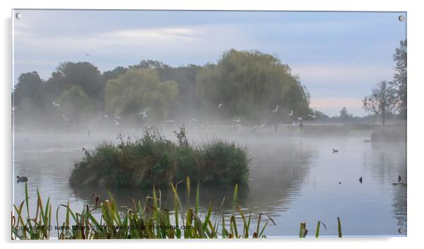 Ethereal Misty Morning at Royal Bushy Park Acrylic by Kenn Sharp